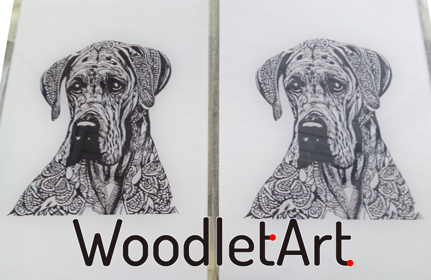 Para psów nadruk czarny na białej szybie